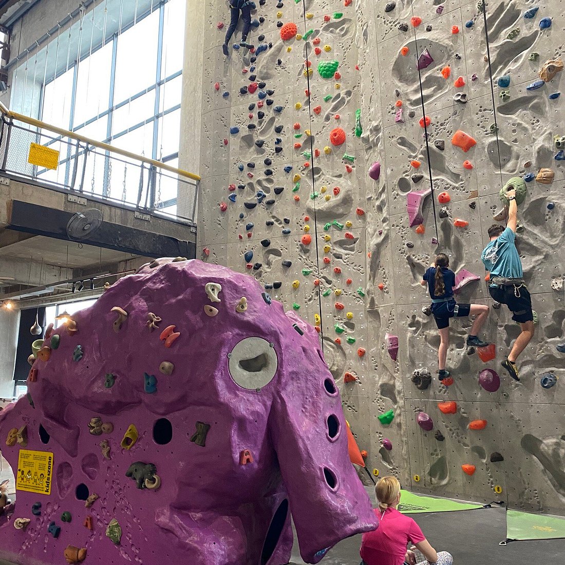 Children climbing an indoor wall